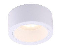 Потолочный светильник A5553PL-1WH Arte Lamp