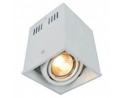 Светильник потолочный A5942PL-1WH Artelamp