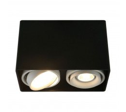 Потолочный светильник A5655PL-2BK Arte Lamp