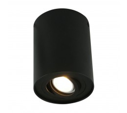 Потолочный светильник A5644PL-1BK Arte Lamp
