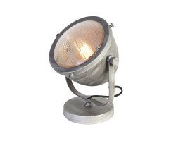 Лампа настольная 1900-1T Favourite