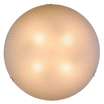 Настенно-потолочный светильник Shodo 40602 Globo