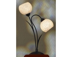 Интерьерная настольная лампа Bagheria LSF-6294-02 Lussole