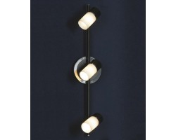 Настенно-потолочный светильник Siliqua LSQ-6101-03 Lussole
