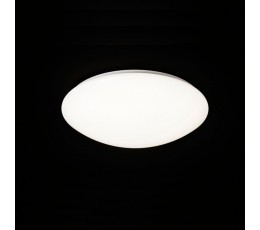 Потолочный светильник Zero 3670 Mantra