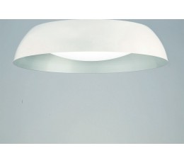 Потолочный светильник Argenta 4846 Mantra