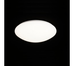 Потолочный светильник Zero 3671 Mantra